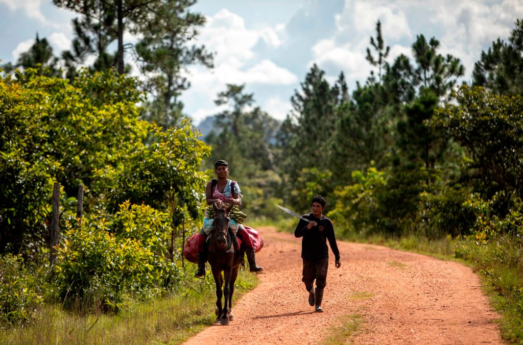 De Miskito leven aan de Caraïbische kust, deels op eilanden en deels langs rivieren. Hun cultuur is nauw verweven met de zee en hun voorouderlijke spiritualiteit. I
