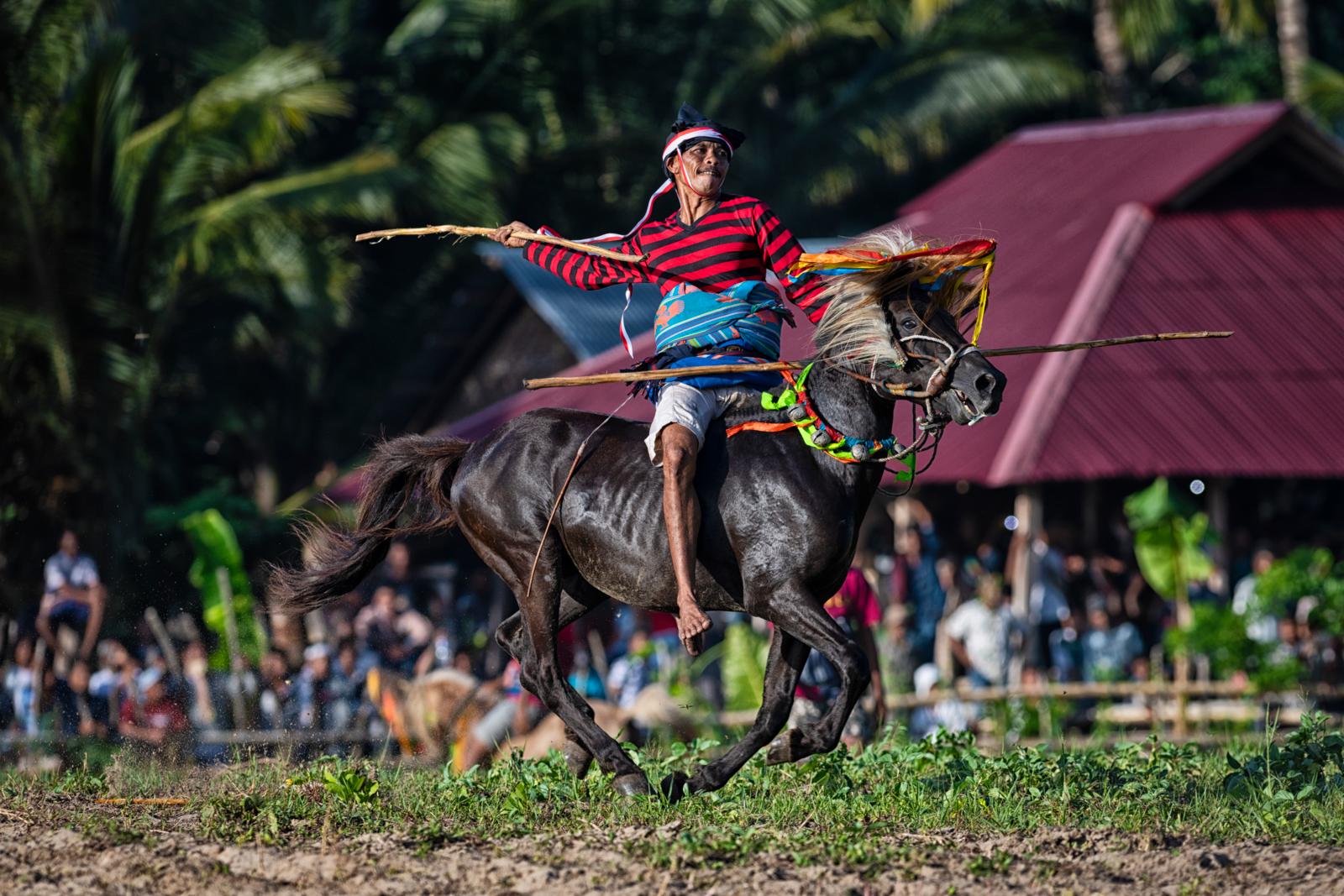 Op Sumba, een Indonesisch eiland ten oosten van Bali, draait het leven nog sterk om traditie. Tijdens het jaarlijkse Pasola-festival galopperen jonge mannen op pony’s op elkaar af en gooien speren, ter ere van een vruchtbaar seizoen.
