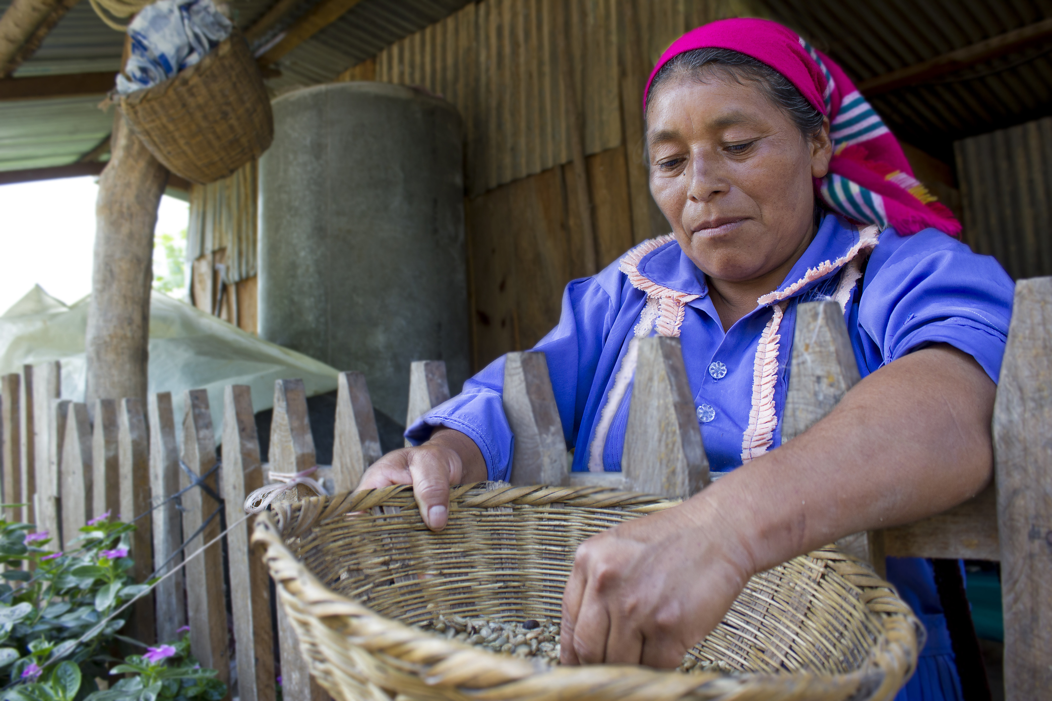 In de bergen van Intibucá leven de Lenca, de grootste inheemse groep van Honduras. Hun erfgoed is zichtbaar in kleurrijk aardewerk, landbouw en religieuze festivals.