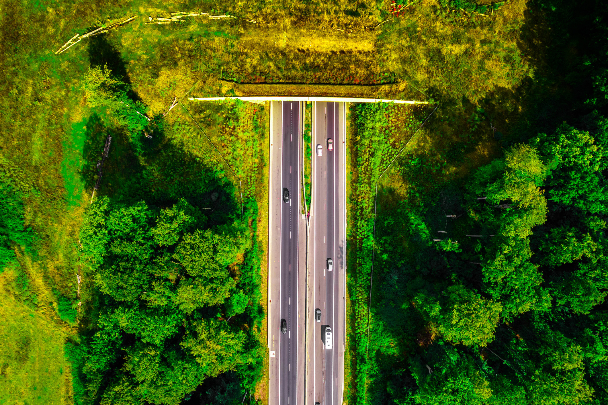 Hoe hard mag je in Belgie met een camper of caravan?