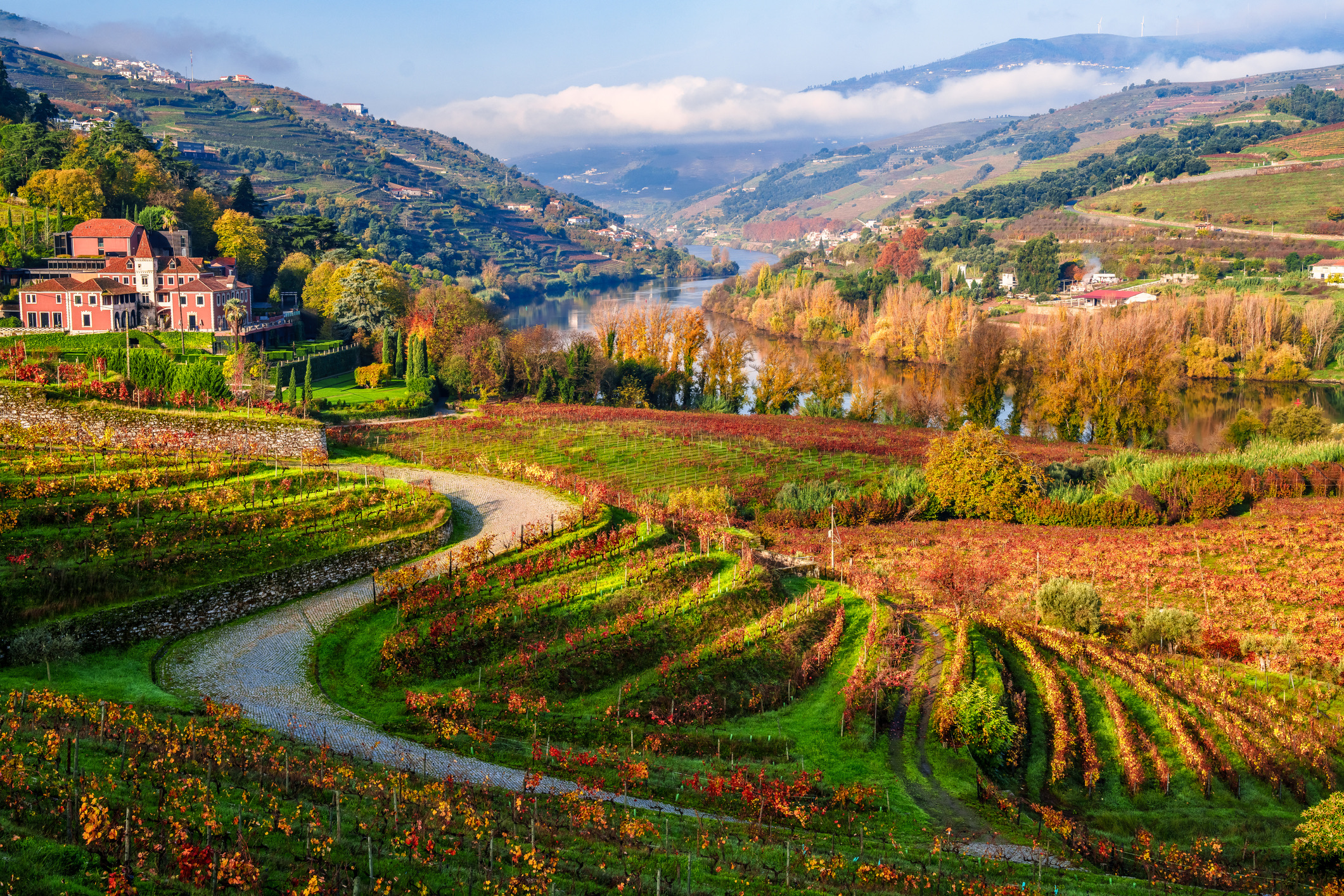 Langs de Douro-rivier slingeren eeuwenoude wijnterrassen tegen de heuvels, die in de herfst kleuren van dieprood tot okergeel. Vanuit Porto rijd je in een paar uur naar dit relatief onontdekte Unesco-landschap, waar oogst en herfst hand in hand gaan. Dit is het hart van de portwijnproductie, waar de druivenoogst wordt binnengehaald en de herfstzon zacht over de rivier valt.