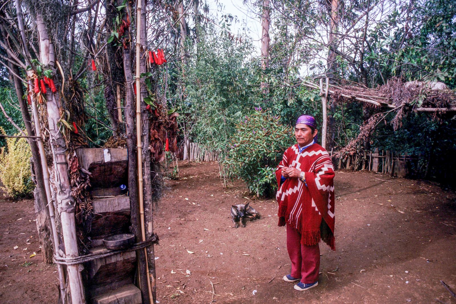 De machi, de sjamanen van de inheemse Mapuche in Chili, worden gevreesd en aanbeden. In een traditioneel land waar je óf man, óf vrouw bent, laveren de machi moeiteloos van het ene naar het andere gender en alles daartussenin. 
