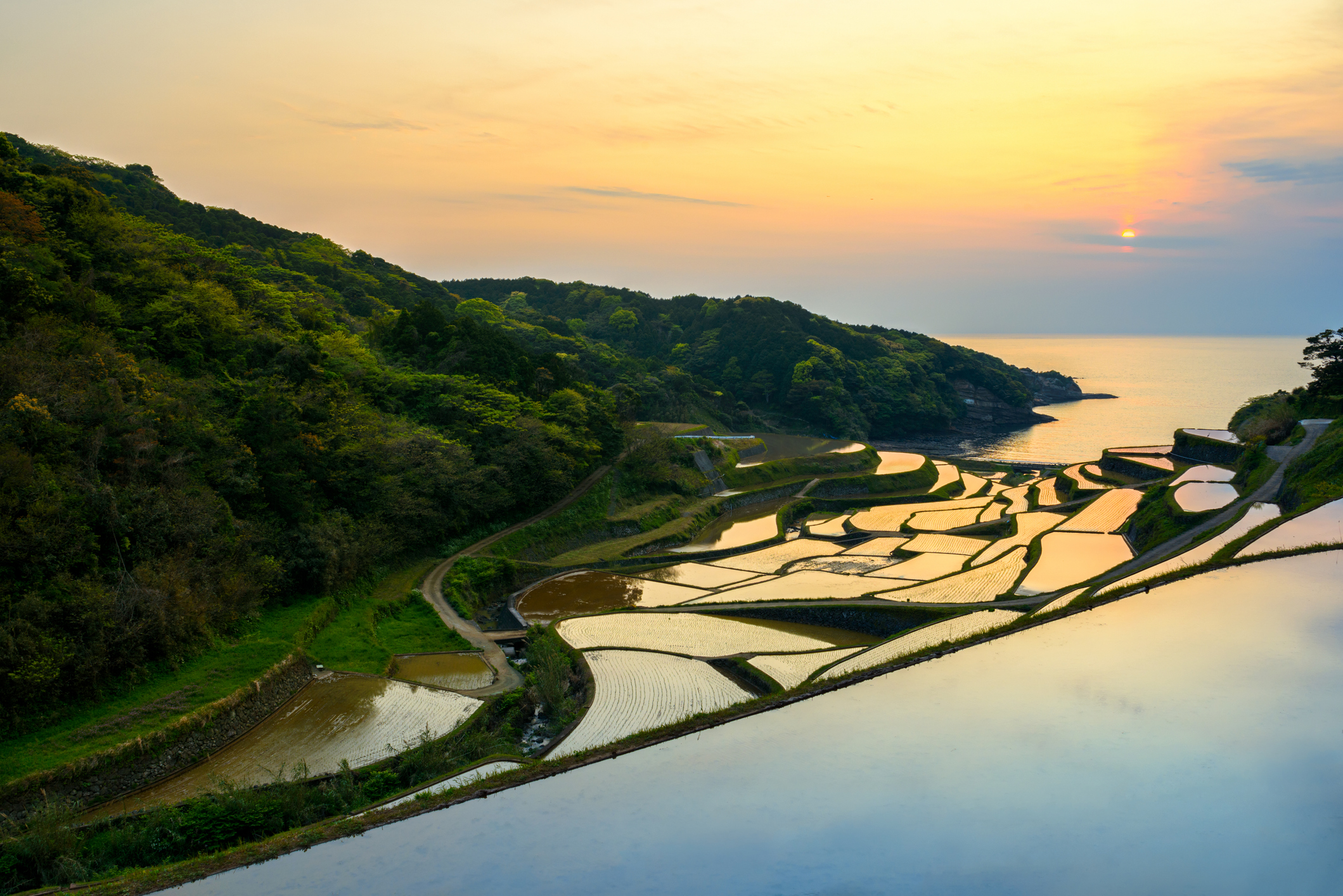 Kyushu is vulkanisch, zwoel en historisch. Dit eiland in het zuiden van Japan voelt anders dan de rest. Dat zie je ook terug in de koloniale havenstad Nagasaki, de uitgestrekte vulkanische vlaktes van Aso en de rookpluimen boven de badplaats Beppu. 
