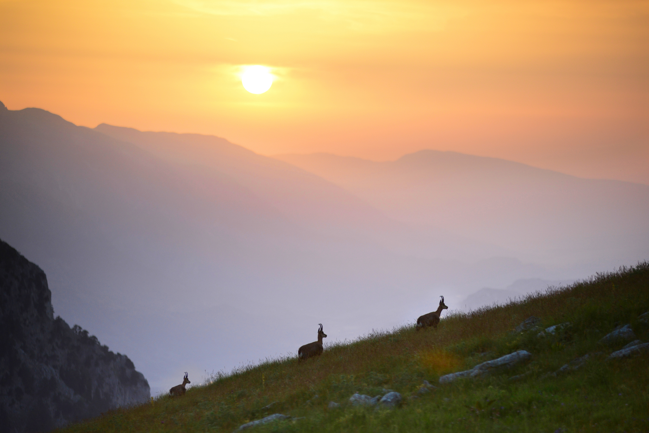 Ver weg van de zonovergoten eilanden ligt het bergachtige hart van Noord-Griekenland: de regio Epirus. In september en oktober zijn de temperaturen hier mild, de bossen beginnen te kleuren en de Vikoskloof, de diepste canyon van Europa, is op zijn mooist.