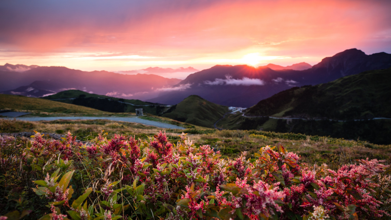 Vergeet Thailand of Bali: in de nazomer is Taiwan dé verborgen parel van Azië. Vanaf oktober is het regenseizoen voorbij en beginnen de droge, zonnige maanden. Je reist hier langs hypermoderne steden als Taipei en Kaohsiung, maar ook langs weelderige jungle, vulkanische warmwaterbronnen en groene rijstterrassen.