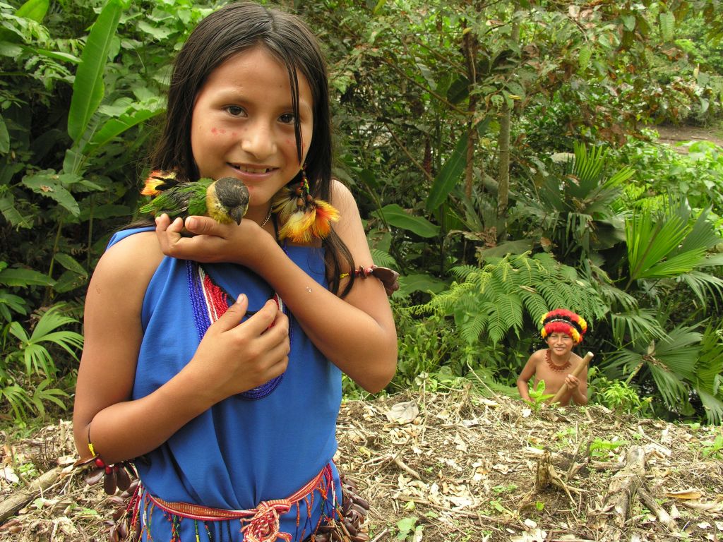 Oorspronkelijk waren de Shuar berucht om het ritueel krimpen van mensenhoofden (tsantsa), maar tegenwoordig zetten ze zich in voor natuurbehoud en culturele educatie. In het zuidoosten van Ecuador kun je verblijven in Shuar-eco-lodges waar je leert over hun spiritualiteit, krijgscultuur en het gebruik van de jungle als supermarkt en medicijnkast tegelijk.