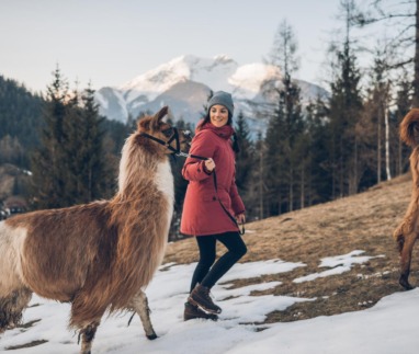 Vrouw wandelt met een lama door de besneeuwde natuur van de Tiroler Zugspitz Arena met uitzicht op de Zugspitze
