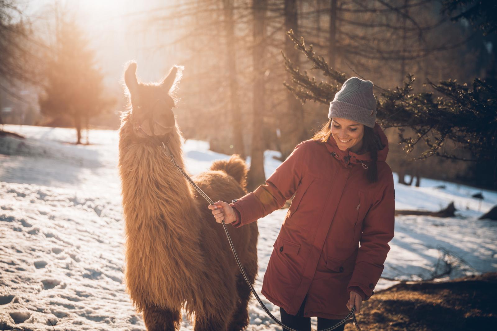 Wandelen met lama’s in de Tiroler Zugspitz Arena is een unieke winterervaring. Deze kalme dieren verliezen nooit hun geduld en lopen beter aan de lijn dan de meeste honden. Samen met de vriendelijke dieren wandel je door witte bossen en over glooiende paden, steeds met zicht op de Zugspitze.
