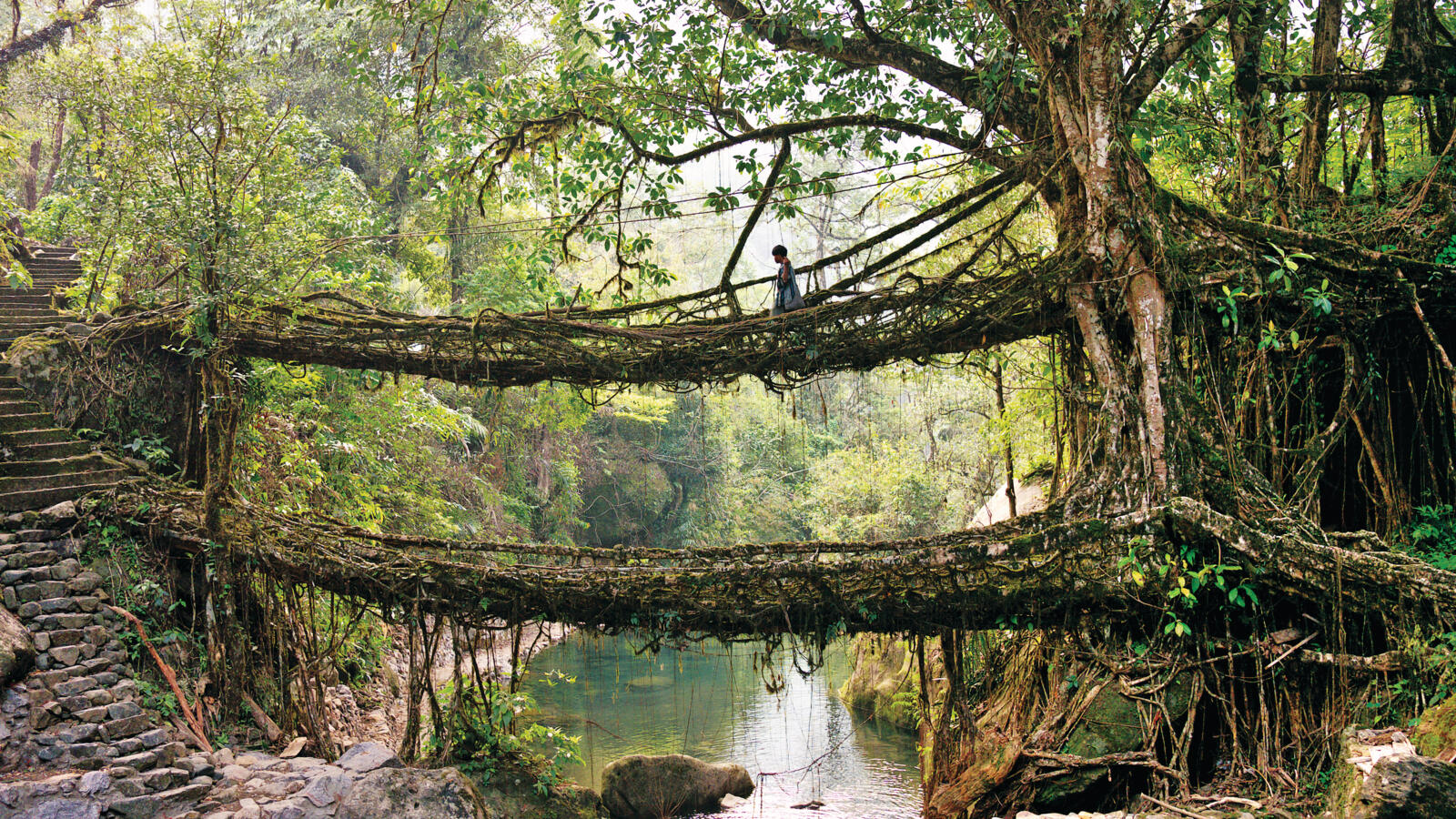 In de Indiase deelstaat Meghalaya leeft het Khasi-volk, bekend om zijn matrilineaire samenleving: eigendom en familielijn gaan over van moeder op dochter. Zorg voor een gids die de lokale cultuur kent en neem vooral de tijd voor wandelingen naar de levende wortelbruggen in Cherrapunji.