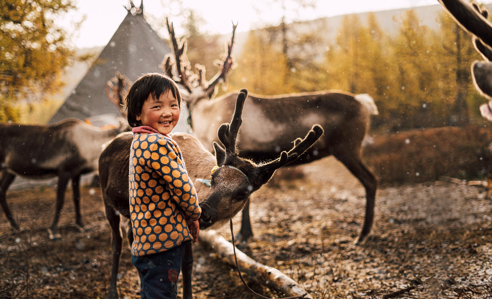 Diep in het noorden van Mongolië, tegen de Russische grens, leven de Dukha: nomadische rendierherders die hun bestaan afstemmen op de seizoenen. Ze leven in gers (tenten), drinken rendiermelk en verplaatsen zich te paard.