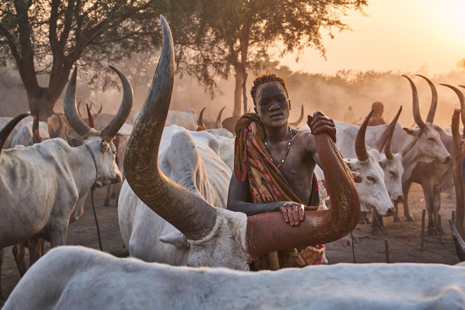 Hoewel Zuid-Soedan steeds veiliger wordt, ligt het nog altijd ver buiten de gebaande paden. De Mundari, een inheems volk dat runderen met gigantische hoorns hoedt en zich wast met hun urine, leven in open dorpen langs de Nijl en gebruiken de as van koeienmest om hun huid te beschermen.
