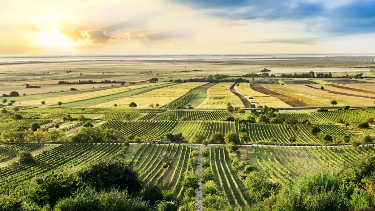Het beste van Burgenland, Oostenrijk in 7 superlatieven