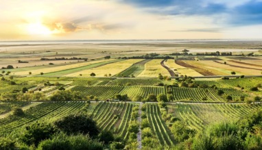 Het beste van Burgenland, Oostenrijk in 7 superlatieven