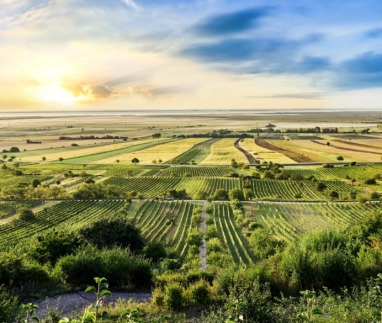Het beste van Burgenland, Oostenrijk in 7 superlatieven