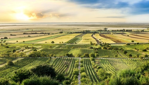 Het beste van Burgenland, Oostenrijk in 7 superlatieven