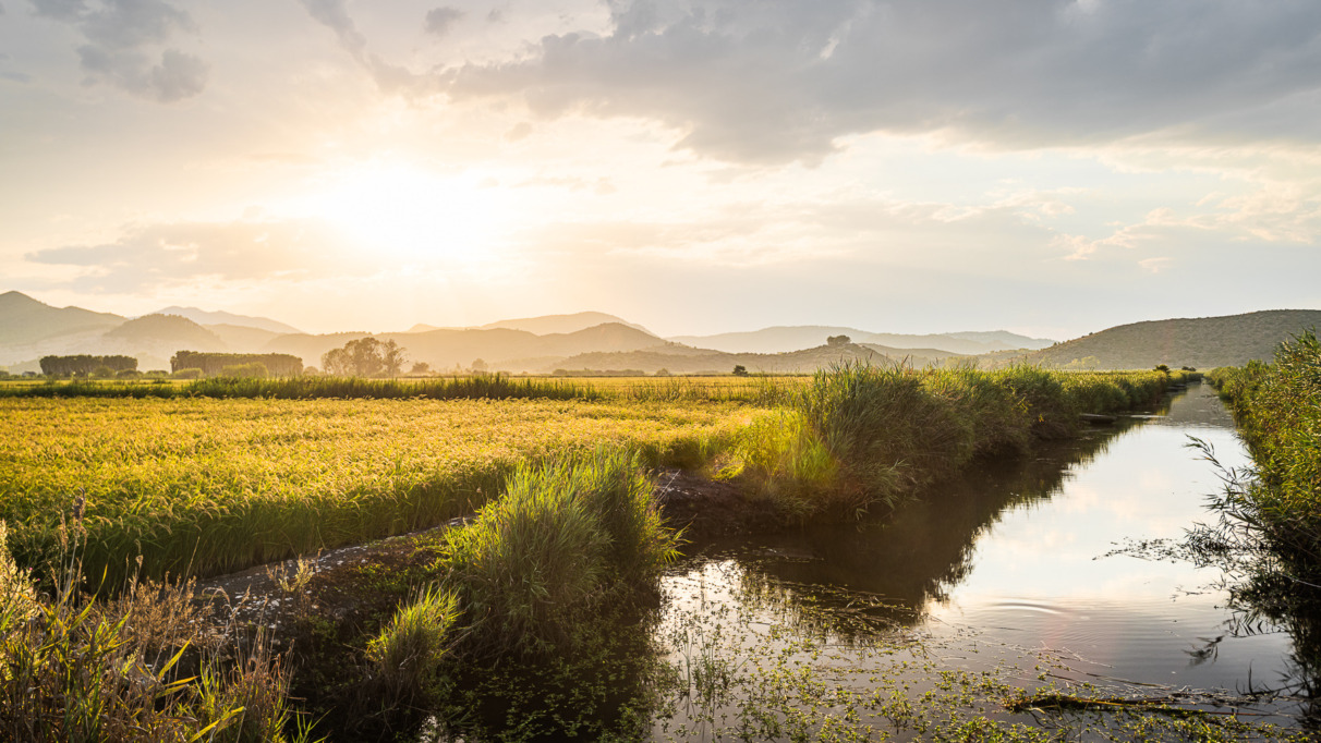 Beleef de herfst in de natuurparken van de Spaanse regio Valencia