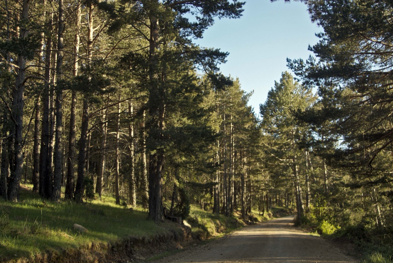 De regio Valencia telt maar liefst 22 natuurparken. Ze liggen verspreid over ruige kust- en berggebieden, eilanden, moerassen, zoutvlaktes en rivieren. Daarmee is het een van de meest bergachtige streken van Europa, maar ook een van de meest gevarieerde.