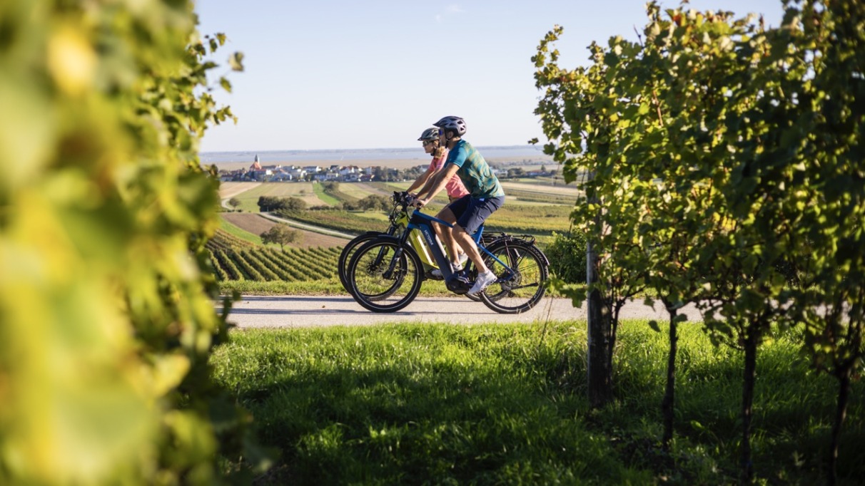 Twee toeristen fietsen door het wijnlandschap van Burgenland, Oostenrijk