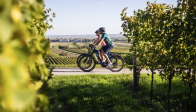 Twee toeristen fietsen door het wijnlandschap van Burgenland, Oostenrijk