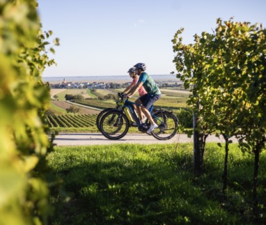 Twee toeristen fietsen door het wijnlandschap van Burgenland, Oostenrijk