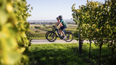 Twee toeristen fietsen door het wijnlandschap van Burgenland, Oostenrijk