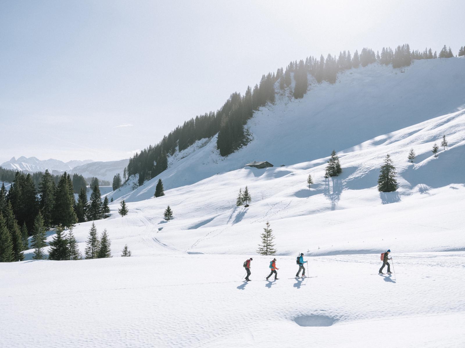 Buiten de keurig onderhouden pistes van het Bregenzerwald zijn onbetreden sneeuwvelden meestal het terrein van avontuurlijke freeriders, maar met de juiste uitrusting kun je deze geheime winterwereld ook op een meer ontspannen manier verkennen. Op verschillende locaties bieden deskundige berggidsen begeleide sneeuwschoentochten aan.
