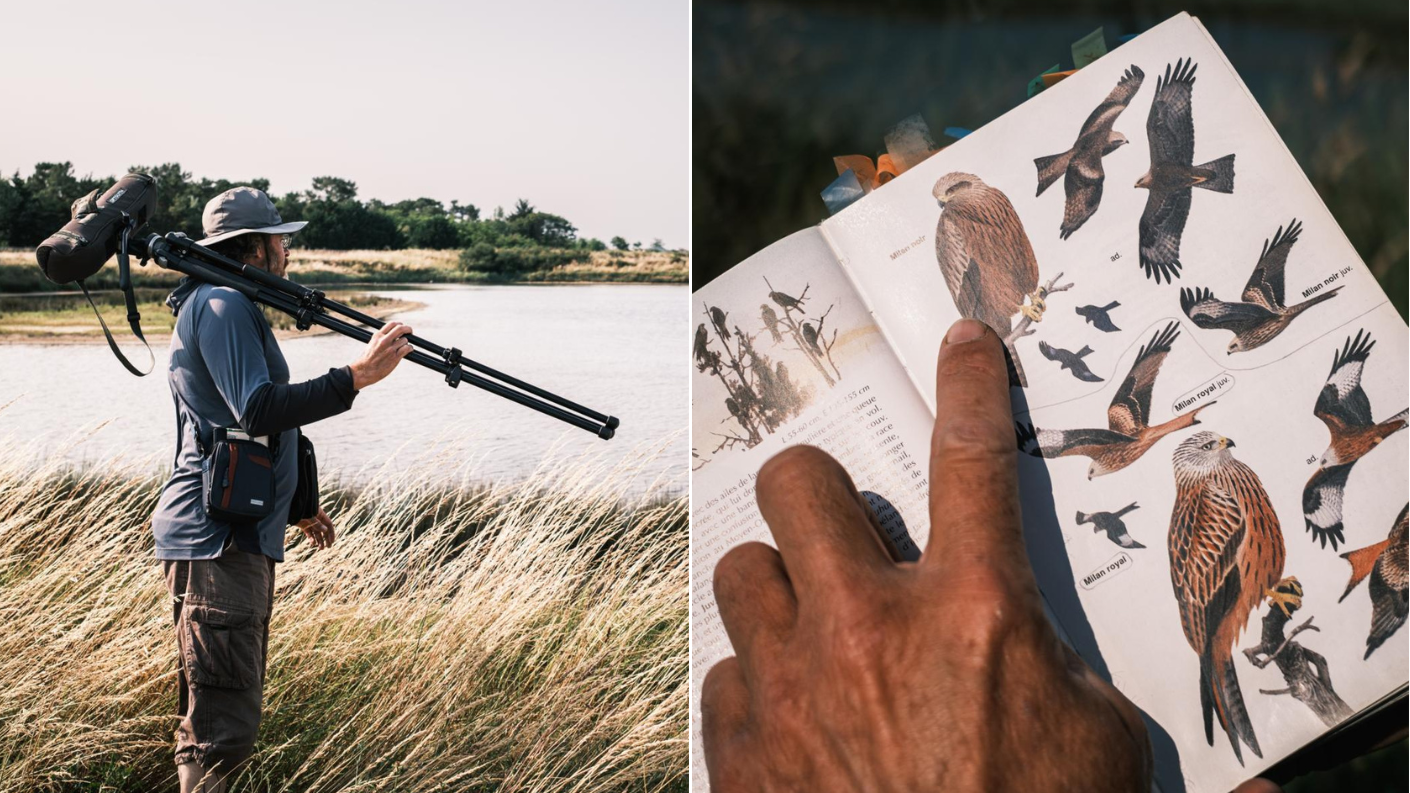 Combinatiebeeld van een vogelspotter met telescoop en statief aan de waterkant in de Vendée, en een close-up van een vogelgids met illustraties van roofvogels.