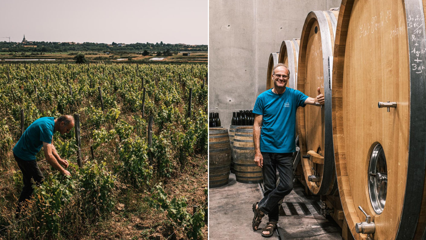 Combinatiebeeld van een wijnboer die druiven verzorgt in een zonnige wijngaard in de Vendée en dezelfde wijnmaker die glimlachend naast grote houten wijnvaten in de kelder staat.