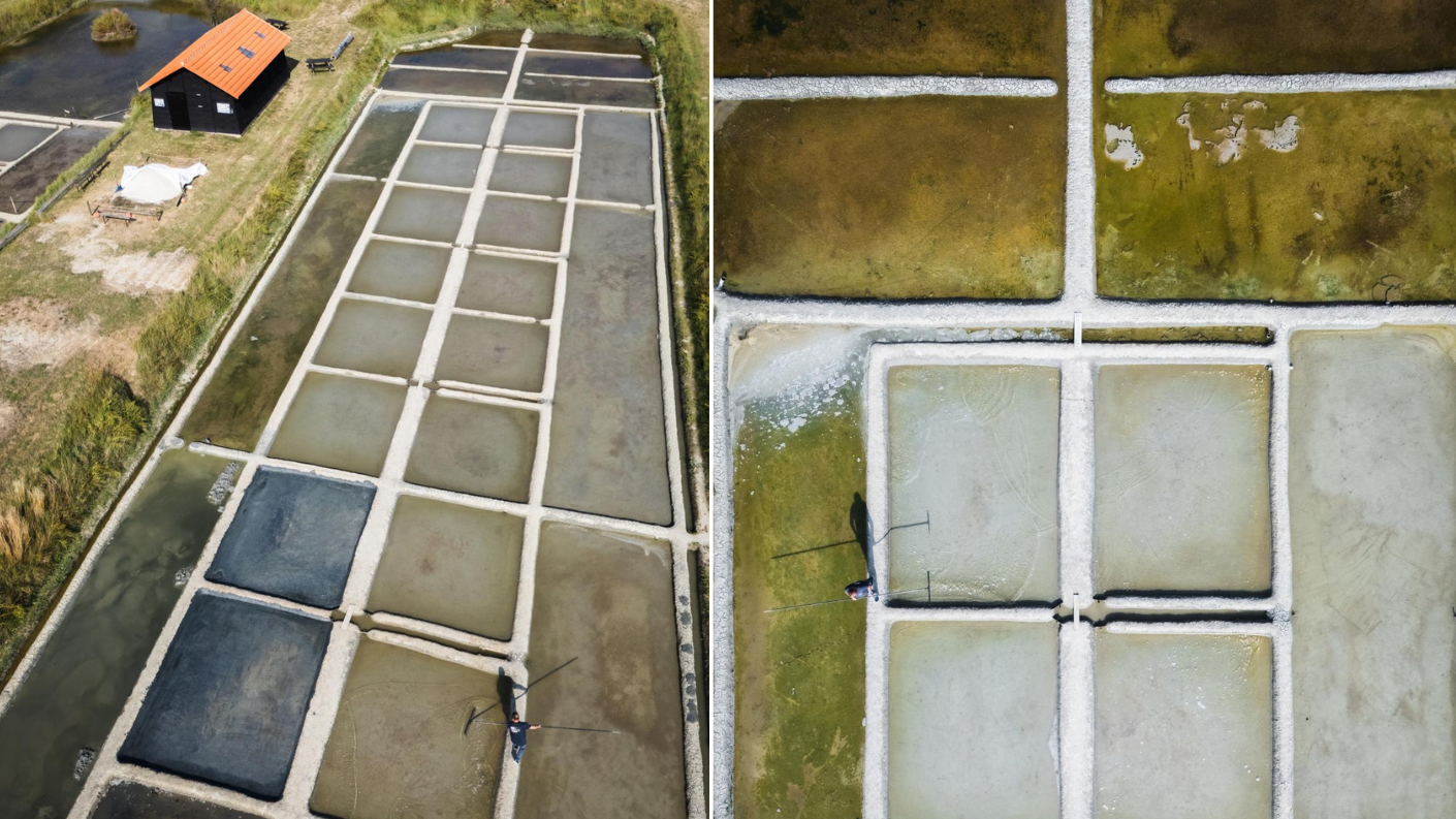 Zout wordt al eeuwenlang geoogst in de moerassen van de Vendée. Bij Sel de la Vie leer je hoe zon, wind en kleibassins samen fleur de sel en grof zeezout creëren.