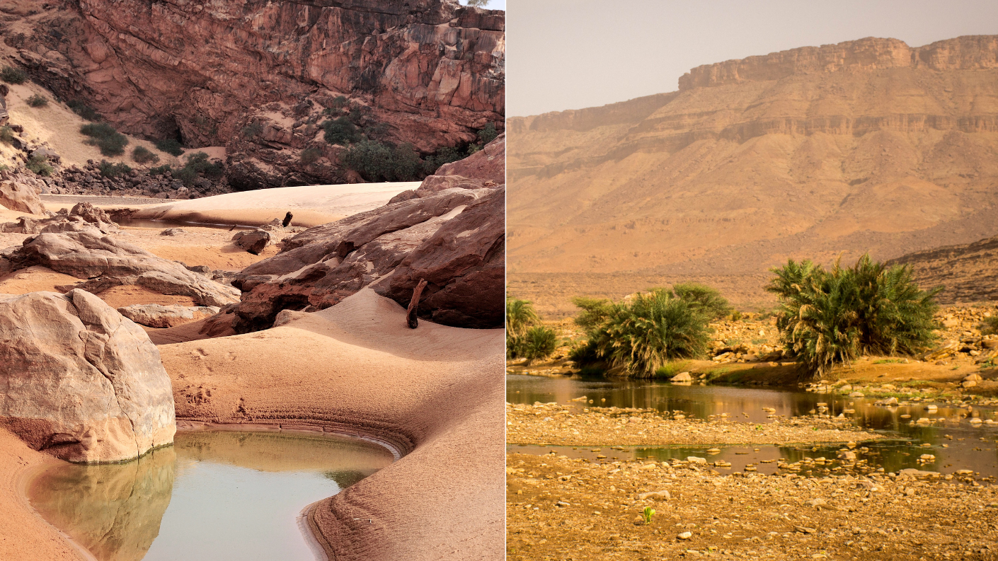Guelta in Mauritanië omringd door palmbomen, rotsformaties en zandduinen in de woestijn.