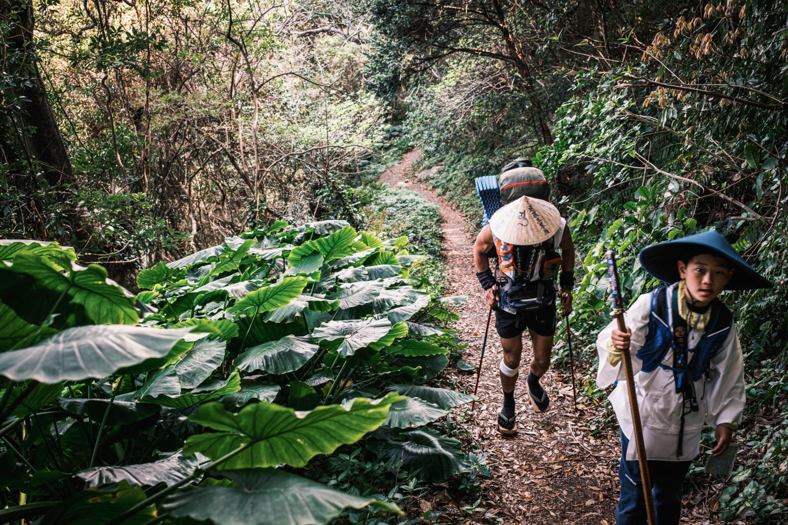 Japanse pelgrims wandelen door dichtbegroeid bos op het eiland Shikoku tijdens de Shikoku-pelgrimsroute.