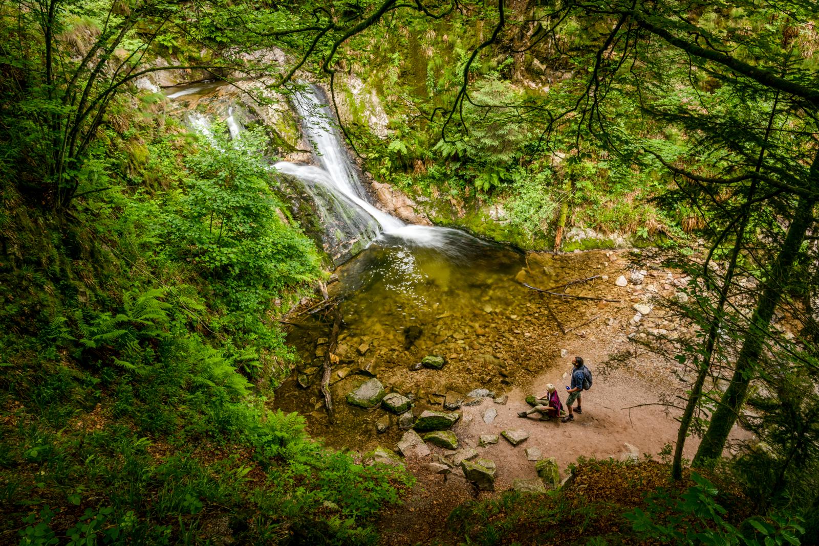 Als je door Freiburg loopt, zie je de beboste hellingen al opdoemen. Binnen een mum van tijd zit je in het Zwarte Woud. 