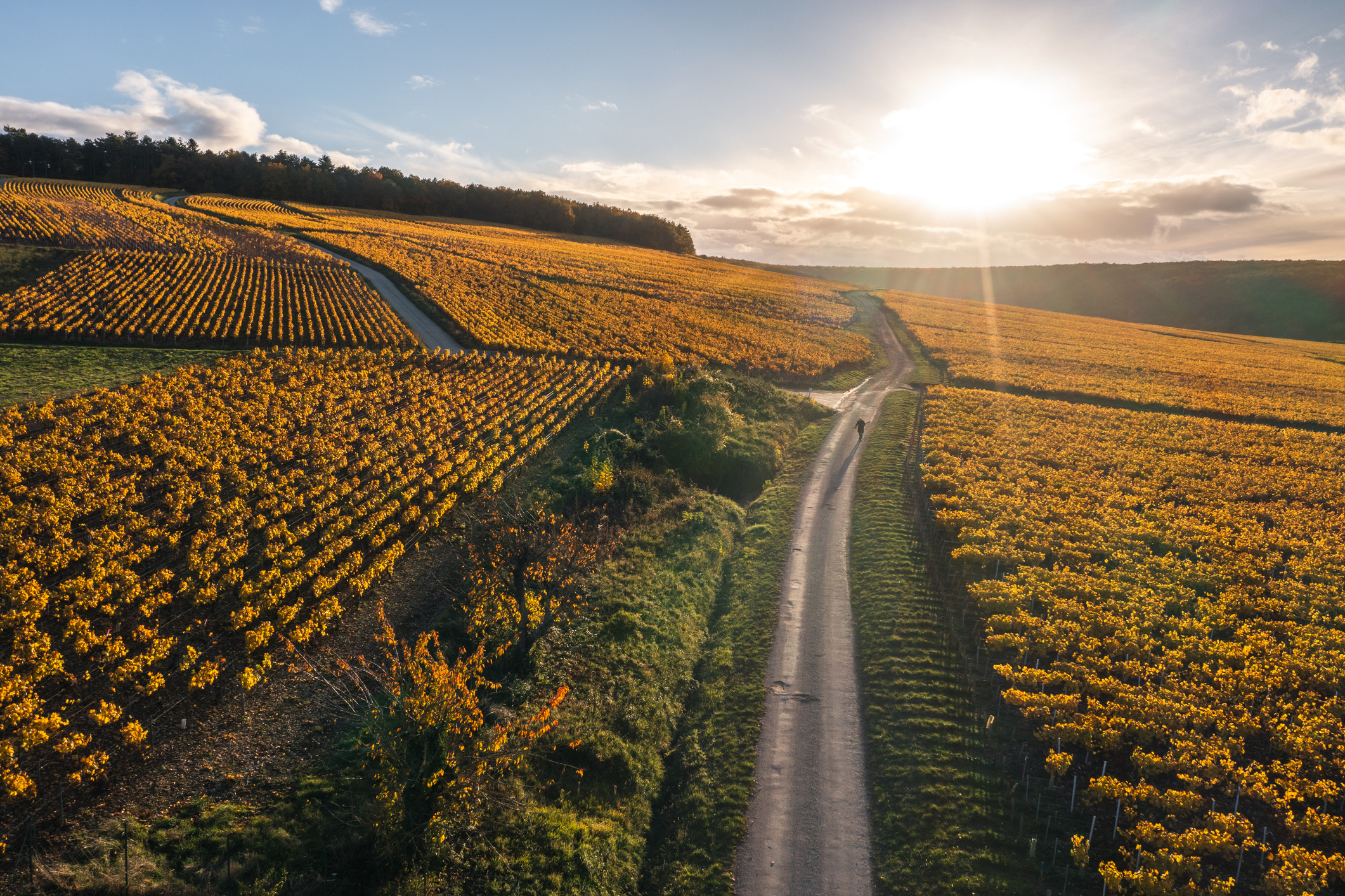 Frankrijk combineert een gigantisch netwerk van maar 39 miljoen auto’s (!) met hoge kwaliteit. Met €345 per inwoner aan weginvesteringen, 10.806 tankstations en 8.233 parkeerterreinen behoort het tot de meest autovriendelijke landen. 