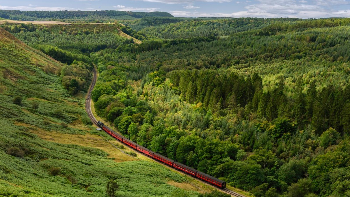 Rode stoomtrein slingert door bosrijk heuvellandschap in Engeland.