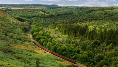 Rode stoomtrein slingert door bosrijk heuvellandschap in Engeland.
