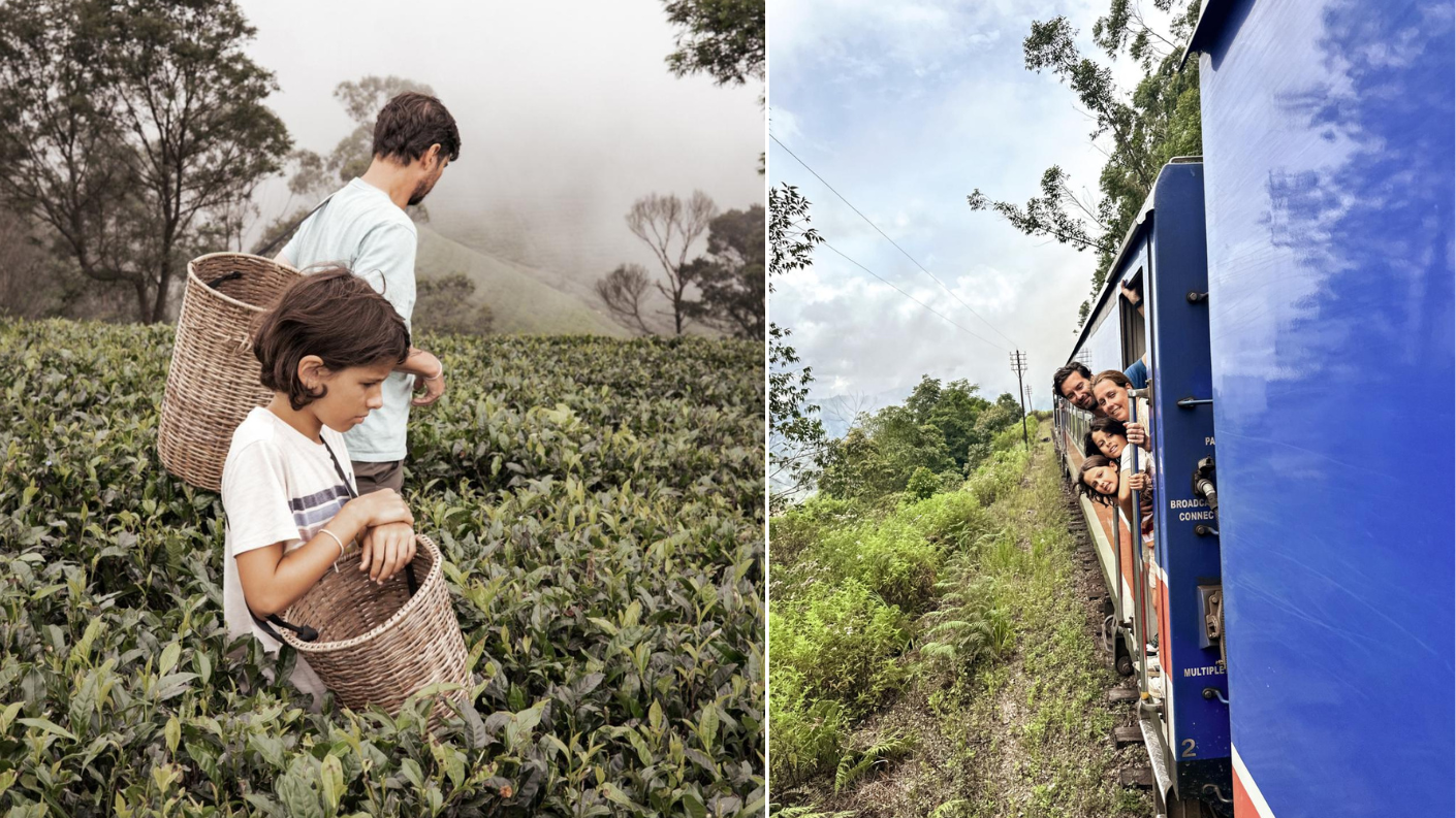 Kinderen plukken thee in Nuwara Eliya en treinreis door de bergen van Ella naar Kandy, Sri Lanka.