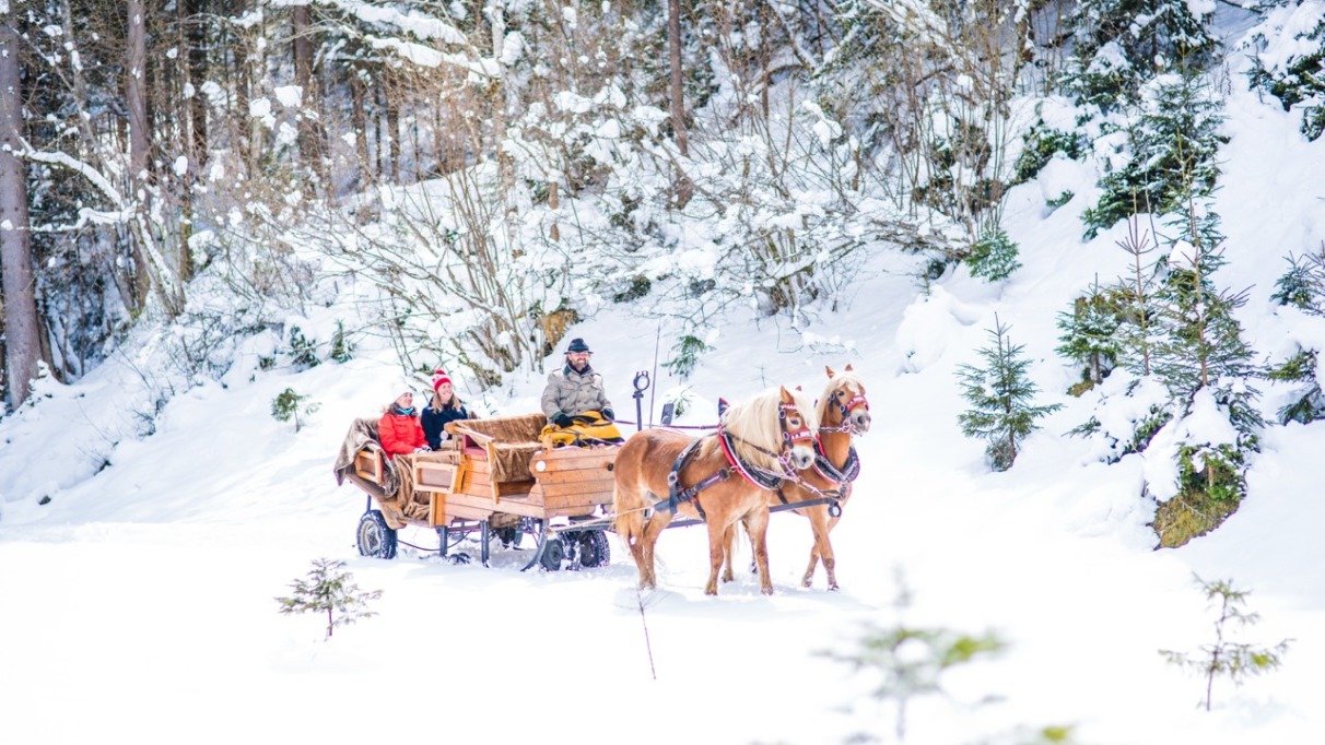 Pferdeschlittenfahrt-mit-Winterlandschaft_Nadia-Jabli-Photography_Nadia-Jabli-Photography (1) groot