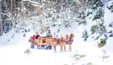 Pferdeschlittenfahrt-mit-Winterlandschaft_Nadia-Jabli-Photography_Nadia-Jabli-Photography (1) groot