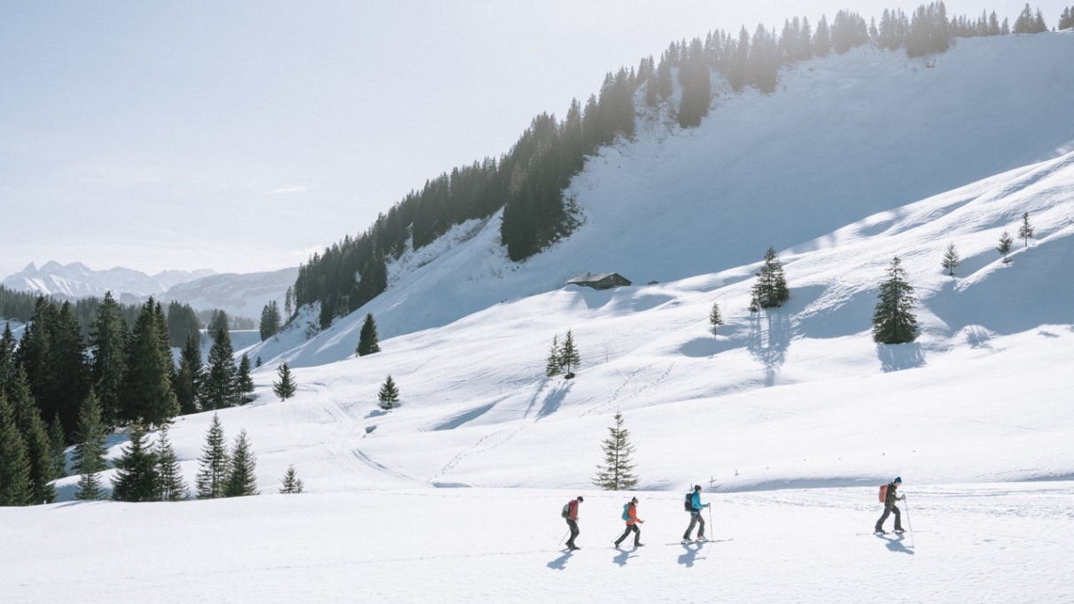 Sneeuwchoenwandelen in natuurpark Nagelfluhkette in Bregenzerwald, Oostenrijk