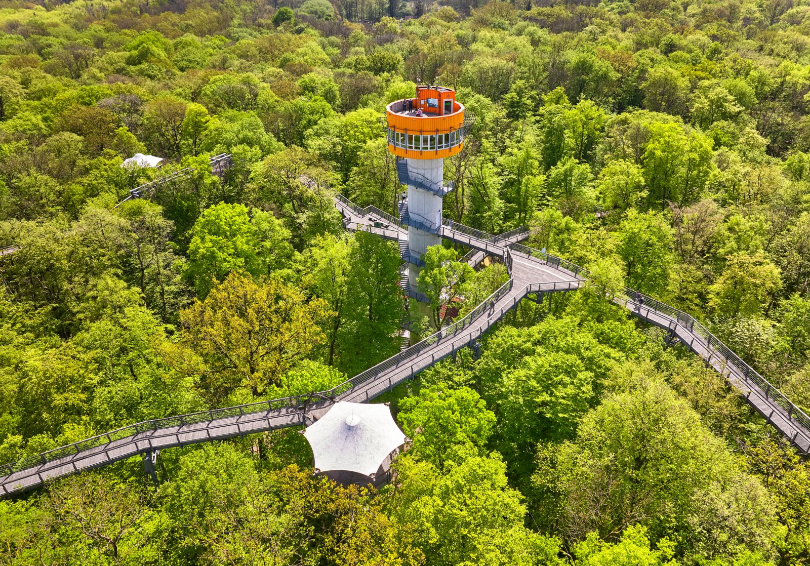 Het bos in Nationaal Park Hainich is een van de laatste restanten van de ooit uitgestrekte oerbossen die Midden-Europa bedekten. 