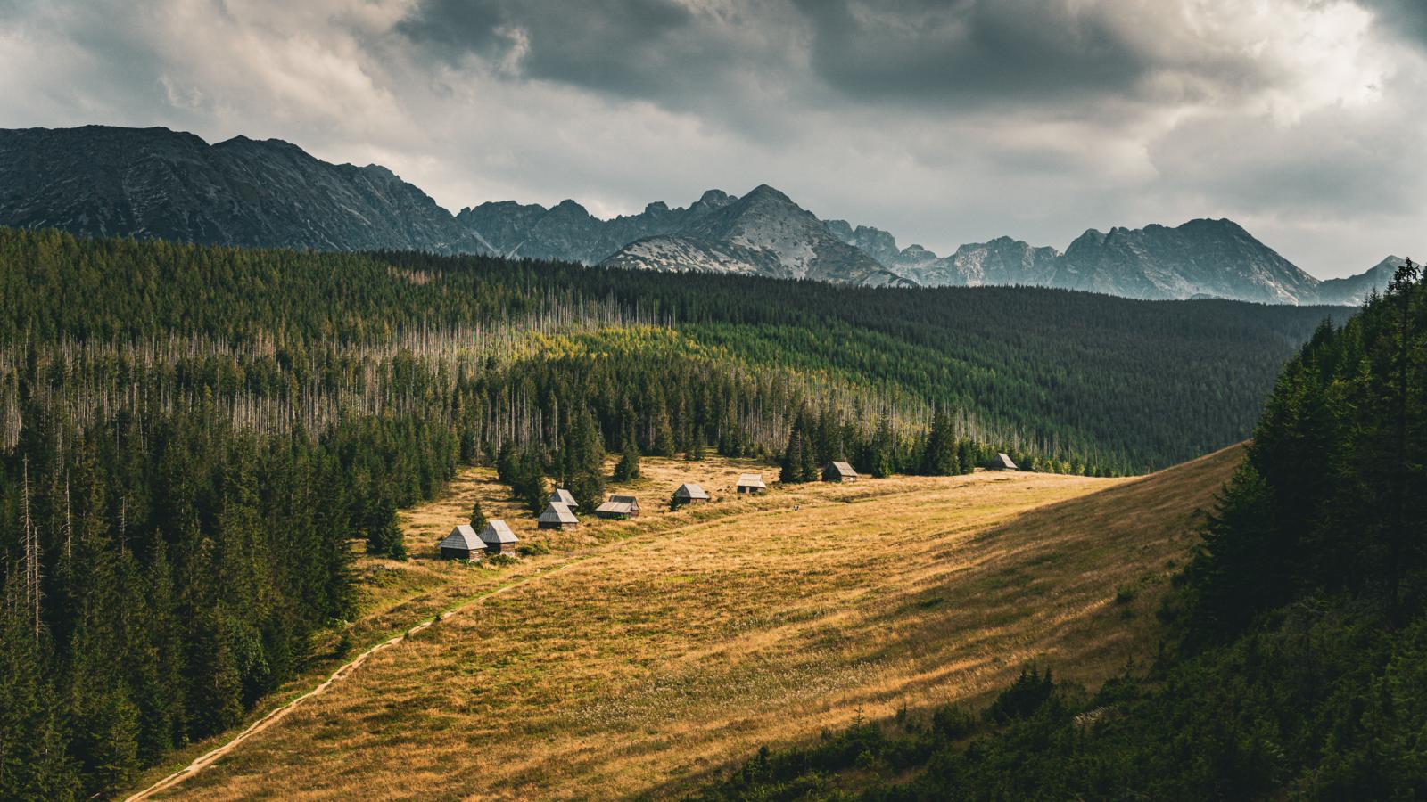 Berglandschap met houten hutjes en naaldbossen in het Tatragebergte bij Zakopane, Polen.