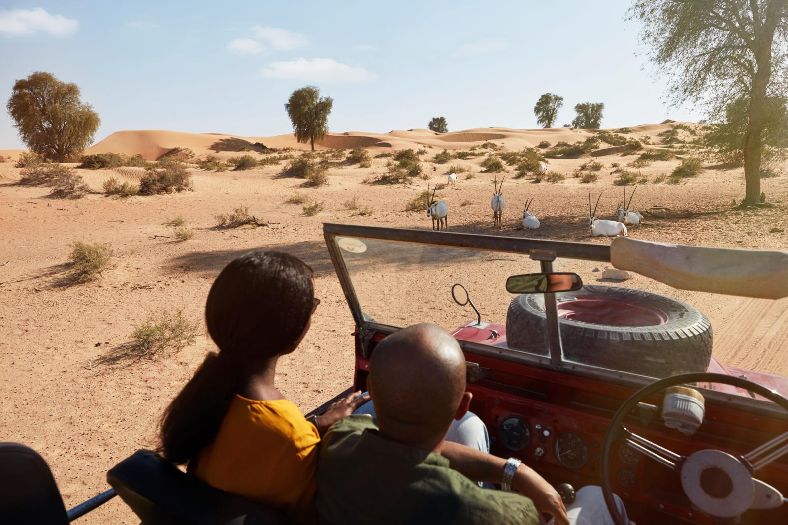 Het Dubai Desert Conservation Reserve beslaat vijf procent van Dubai en is het leefgebied van gazelles, woestijnvossen en meer dan 120 vogelsoorten.