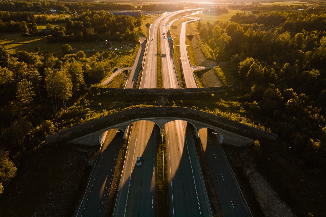 Estland behoort tot de beste automobilisten ter wereld