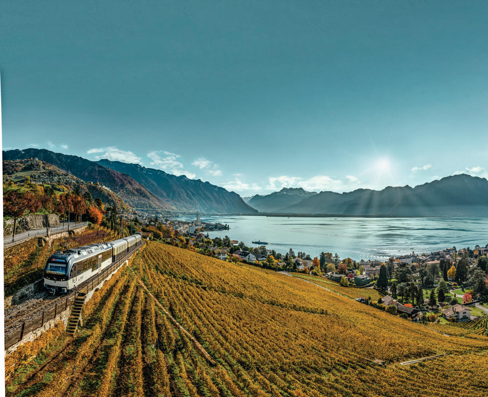 GoldenPass-trein rijdt door de wijngaarden van Lavaux met uitzicht op het Meer van Genève en de Alpen.