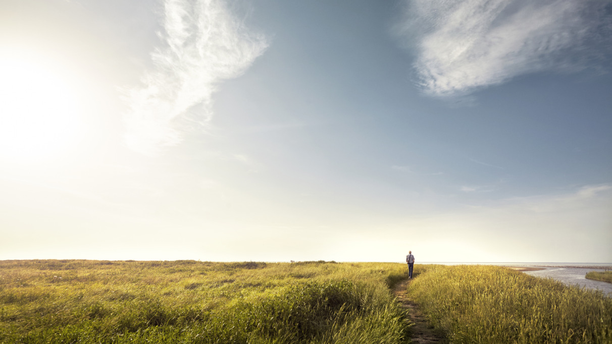 Deel je mooiste natuurroute door Nederland en win