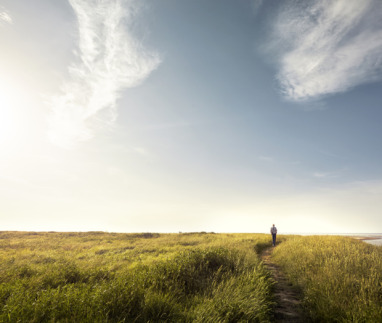 Deel je mooiste natuurroute door Nederland en win