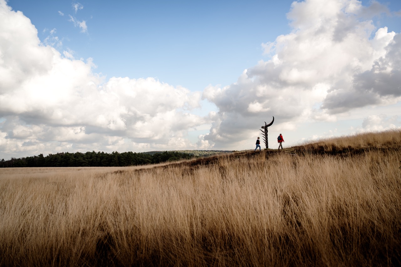 Overgeleverd aan de elementen vind je midden op de open vlakte van de Veluwezoom het kunstwerk Highlander. Het is gemaakt door Jantien Mook en vormt een ode aan de Schotse Hooglanders die het gebied begrazen. 