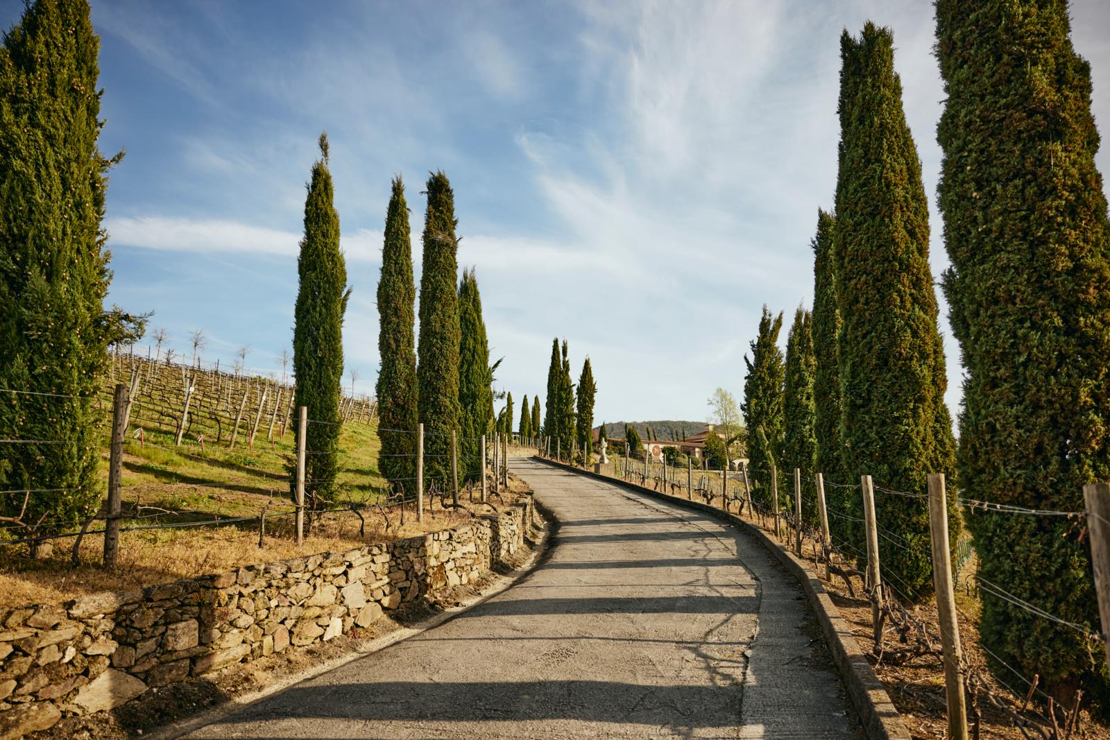 In het hart van Ribeira Sacra, iets ten oosten van Ourense in Spanje, ligt Bodega Regina Viarum, waar je vanaf € 10 p.p. aanschuift voor een uitgebreide proeverij met waanzinnig uitzicht over de omgeving. 