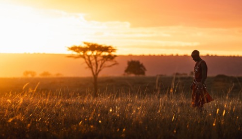 Masai-krijger loopt door hoog gras tijdens zonsondergang in de Masai Mara in Kenia