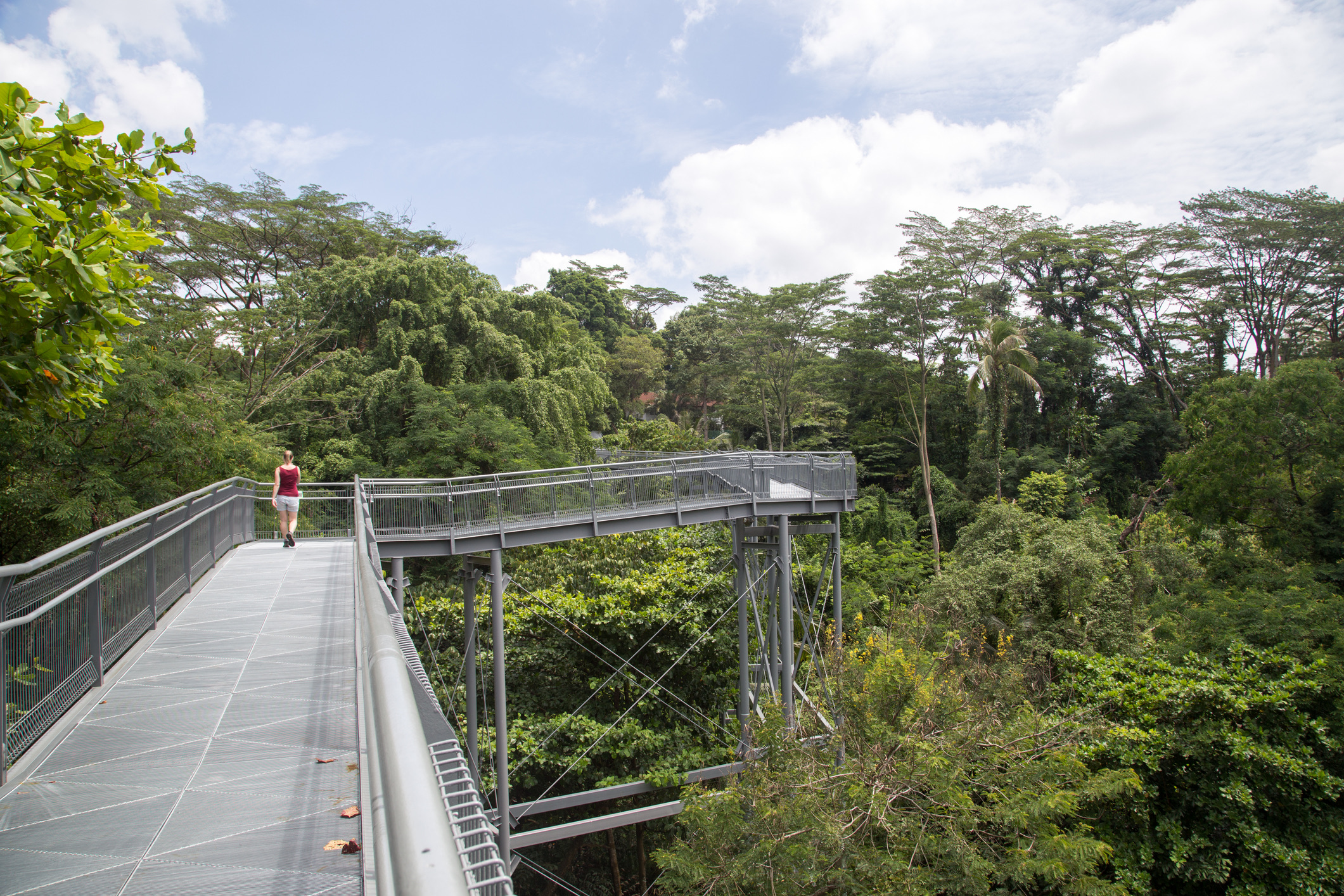 Ontsnap aan de wolkenkrabbers en loop de Southern Ridges, een tien kilometer lang netwerk van houten loopbruggen die door de boomtoppen van verschillende stadsparken slingeren. Je spot hier exotische vogels en apen, met de skyline van Singapore op de achtergrond.